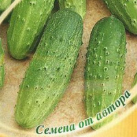 Огурец F1 Печора - купить с доставкой