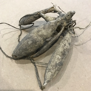 Стандарт поставки 12 Георгина Сноуфлейк