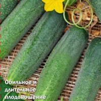 Огурец F1 Трапезный - купить с доставкой
