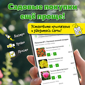 Мы запустили мобильное приложение!