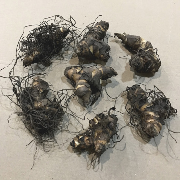 Стандарт поставки 4 Канна Вайоминг