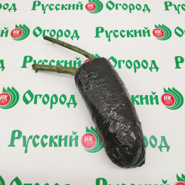 Стандарт поставки 3 Роза Сатин (горшок 2л)