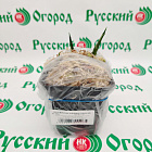 Хоста Даймондс а Форевер (горшок р9)