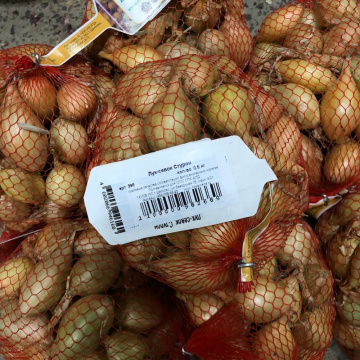 Стандарт поставки 1 Лук-севок Шетана (Россия) 1кг. 10/21