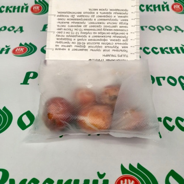 Стандарт поставки 1 Тюльпан Перпл Кристал Стандарт поставки 1 Тюльпан Перпл Кристал