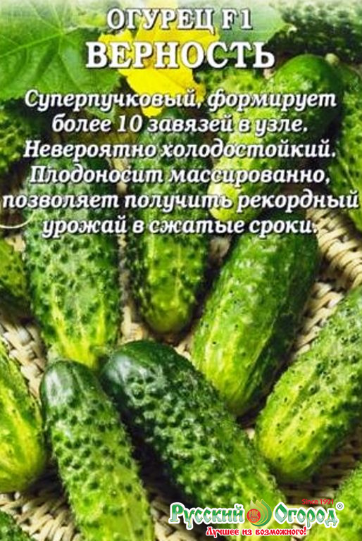 огурец преданность. сорт огурцов верность. огурец 'верность' марс. огурец преданность. огурец верные друзья f1 12шт манул цв/п.