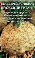 Сельдерей корневой Пражский гигант - купить с доставкой