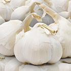 Лукочеснок Рокамболь 1 кг