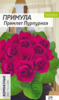 Примула Примлет пурпурная - купить с доставкой