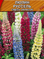 Люпин Руссель, смесь окрасок - купить с доставкой