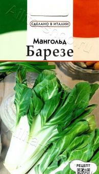 Мангольд Барезе