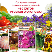Набор 50 Хитов Русского огорода - купить с доставкой