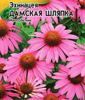 Эхинацея Дамская шляпка - купить с доставкой