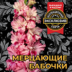 Гладиолус Мерцающие Бабочки
