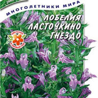 Лобелия Ласточкино гнездо - купить с доставкой