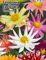 Георгина Ерошка, смесь - купить с доставкой