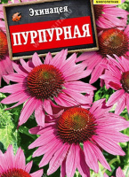 Эхинацея пурпурная (Рудбекия пурпурная) - купить с доставкой