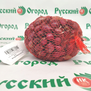 Стандарт поставки 3 Лук-севок Ред Кармен (Россия)