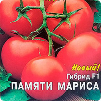 Томат Памяти Мариса F1 - купить с доставкой