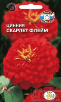 Цинния Скарлет Флейм - купить с доставкой