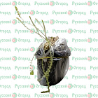 Тысячелистник Ред Вельвет