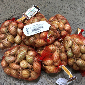 Стандарт поставки 2 Лук-севок Шетана (Россия) 1кг. 10/21