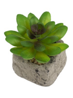 Декоративное растение Зеленый Суккулент в кашпо из бетона - купить с доставкой