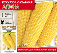 Кукуруза сахарная Алина