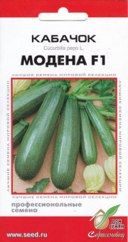 Кабачок Модена F1