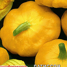 Светло-оранжевый