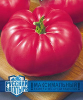 Томат Розовый бык  серия Русский богатырь - купить с доставкой