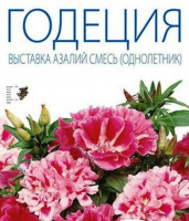 Годеция Выставка азалий - купить с доставкой