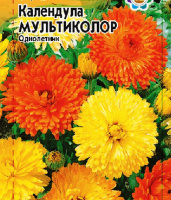 Календула Мультиколор, смесь - купить с доставкой