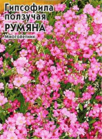 Гипсофила ползучая Румяна - купить с доставкой