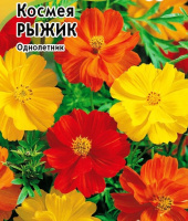 Космея Рыжик - купить с доставкой
