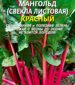 Мангольд (Свекла листовая) Красный