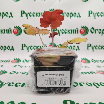Стандарт поставки 8 Гейхера Пожарная тревога