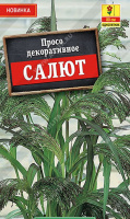 Просо декоративное Салют - купить с доставкой