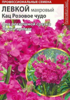 Левкой кац Розовое чудо махровый - купить с доставкой