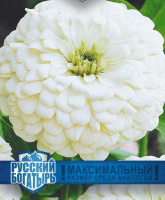 Цинния Великан белый серия Русский богатырь - купить с доставкой