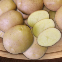 Картофель Брянский деликатес - купить с доставкой