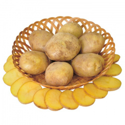 Картофель Удача