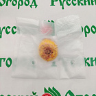 Гладиолус Изумрудная Роскошь
