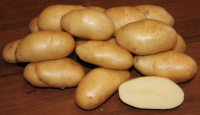 Картофель Фрителла - купить с доставкой