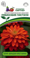 Цинния махровая Барышня-крестьянка Рябиновая Пастила - купить с доставкой