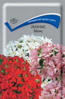 Лихнис, микс - купить с доставкой