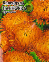 Календула Панночка - купить с доставкой
