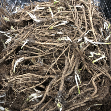 Стандарт поставки 1 Мак Уайт Раффлз