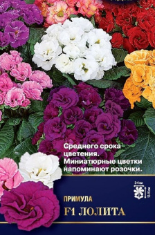 Примула Лолита F1