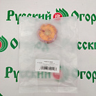 Гладиолус Няшка